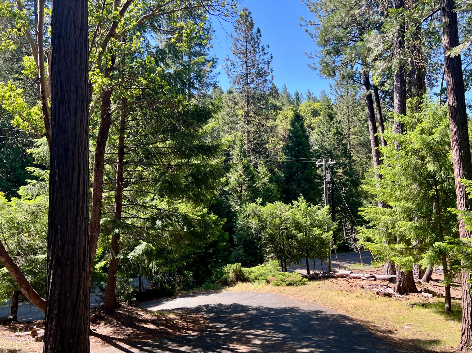Creekside Drive, Pioneer, California image 13