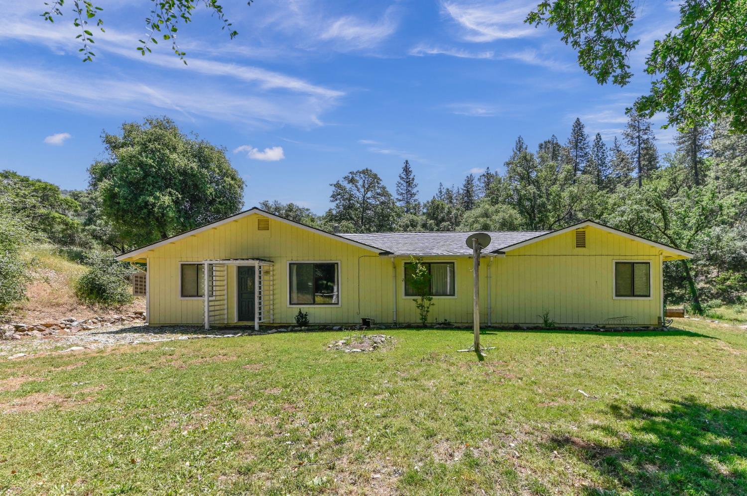 Appaloosa Way, Angels Camp, California image 5