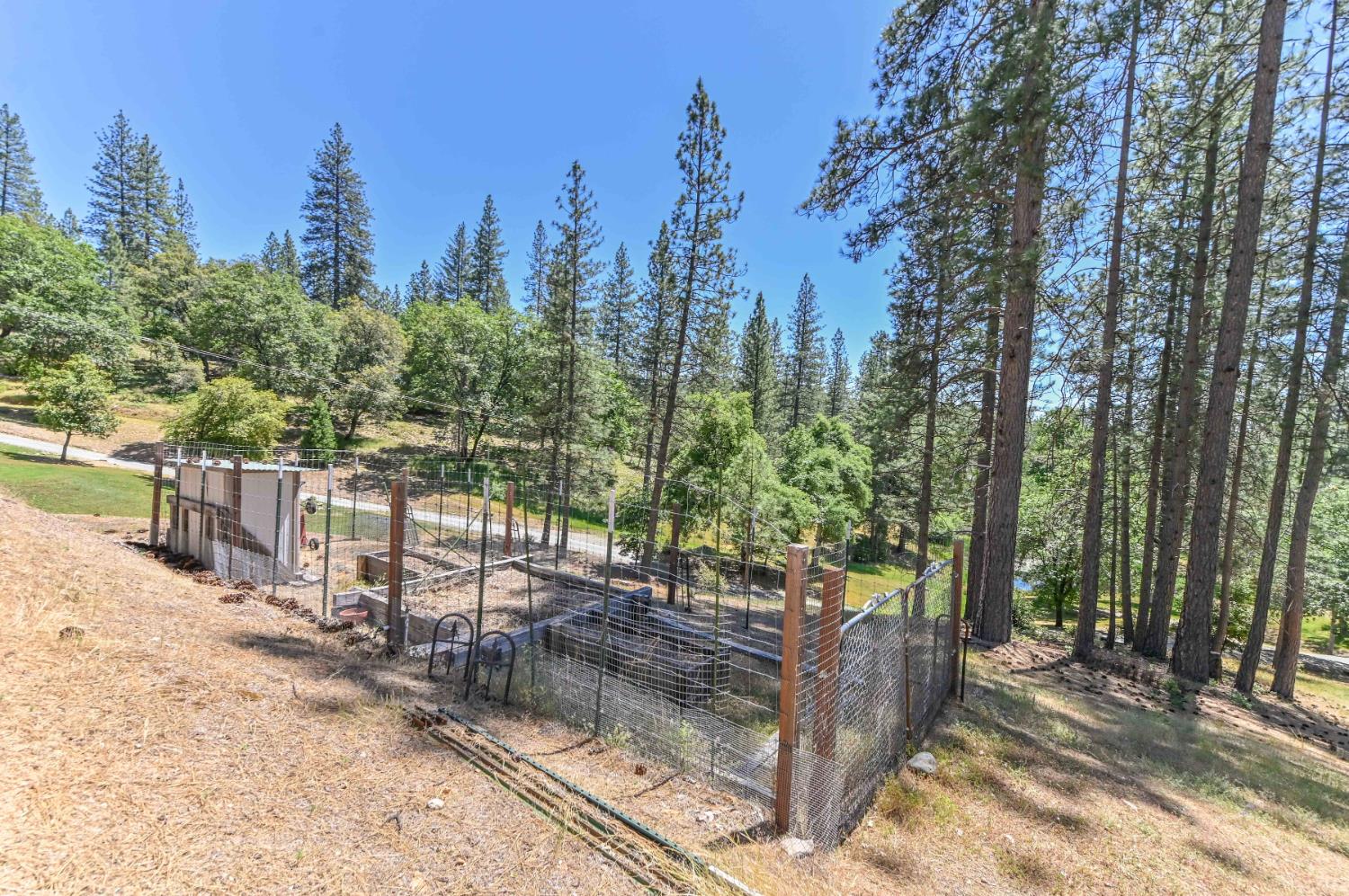 Gorley Lane, Rail Road Flat, California image 48