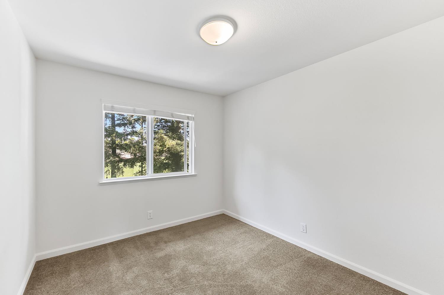 Detail Gallery Image 19 of 27 For 2434 Halsey Cir, Davis,  CA 95618 - 3 Beds | 2/1 Baths