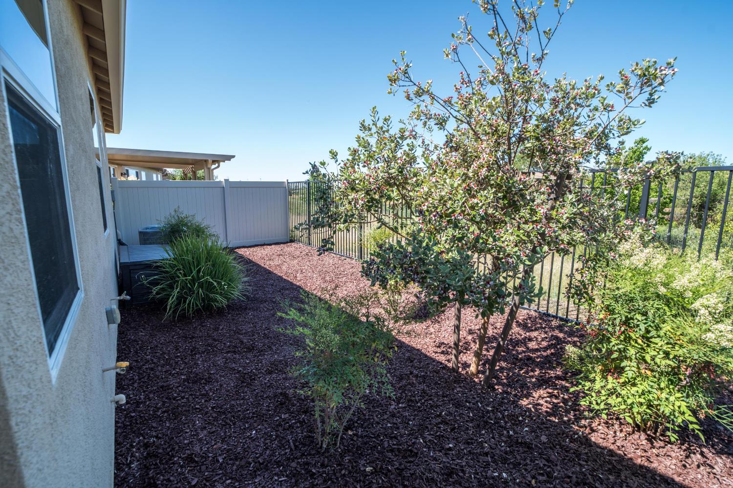 Pacifico Lane, El Dorado Hills, California image 8