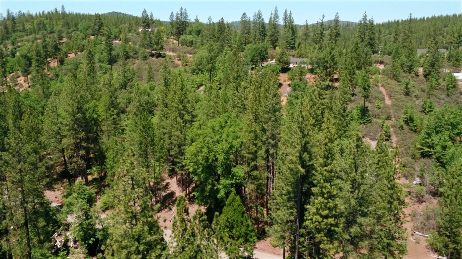 Detail Gallery Image 19 of 52 For 6832 Dudley Ranch Rd, Coulterville,  CA 9531 - 3 Beds | 2 Baths