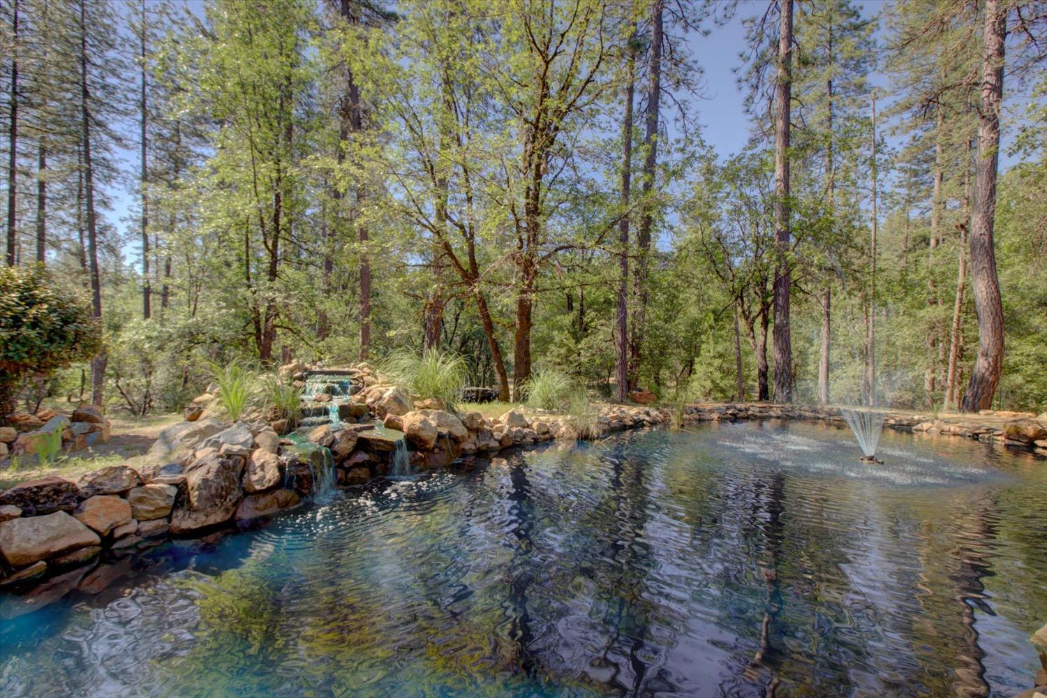 Capitol Drive, Grass Valley, California image 42
