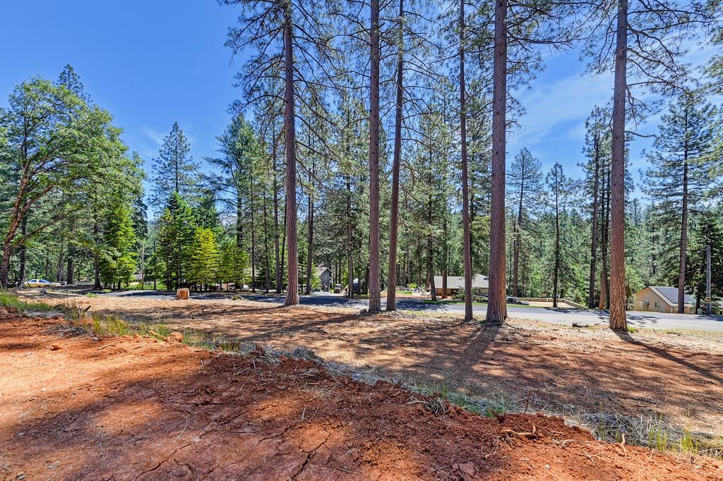 Detail Gallery Image 39 of 39 For 5569 Crestline Dr, Foresthill,  CA 95631 - 3 Beds | 2 Baths