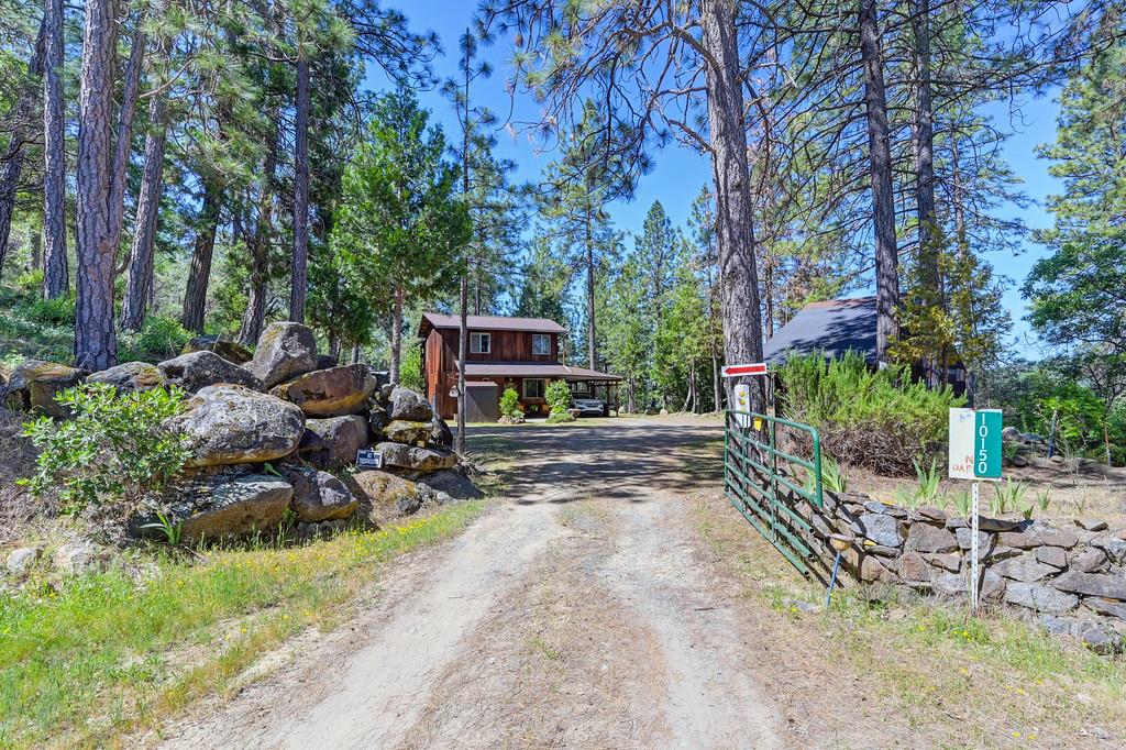 Grub Creek Drive, Rough and Ready, California image 4