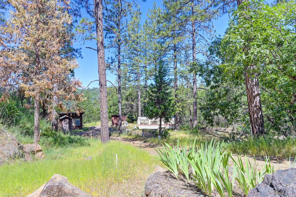 Grub Creek Drive, Rough and Ready, California image 49