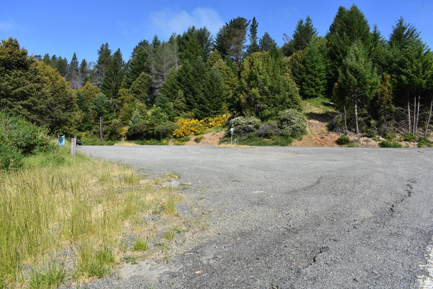 SW Briceland Road, Whitethorn, California image 9