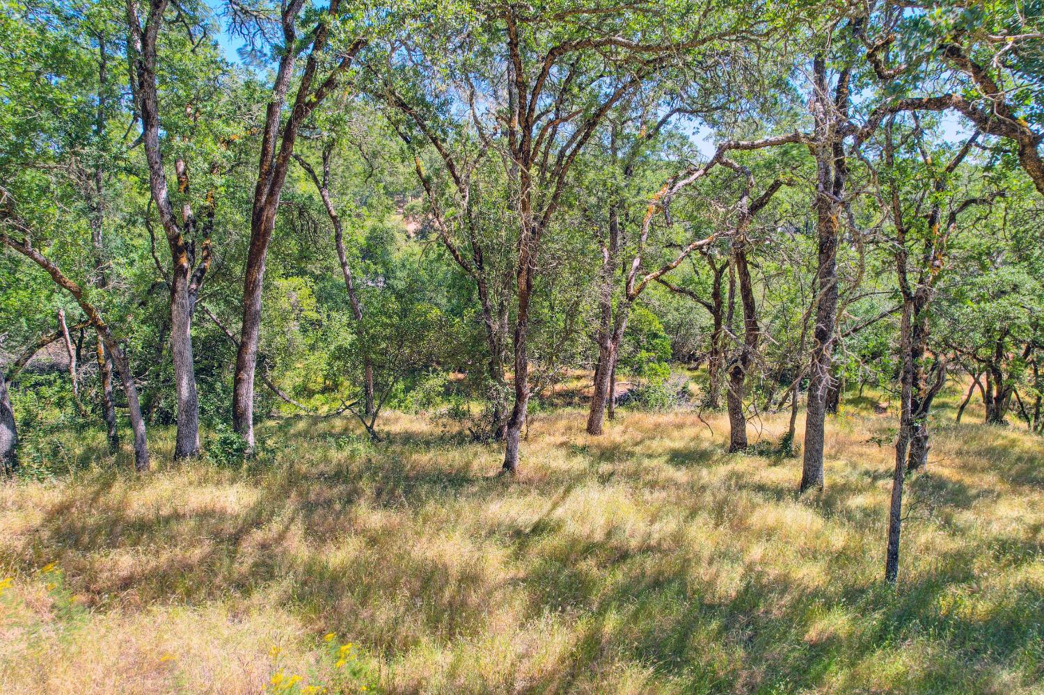 Western Sierra Way, El Dorado Hills, California image 3