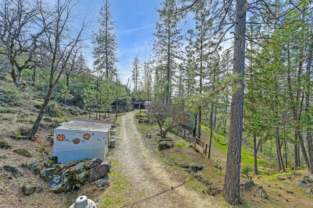Grub Creek Drive, Rough and Ready, California image 36