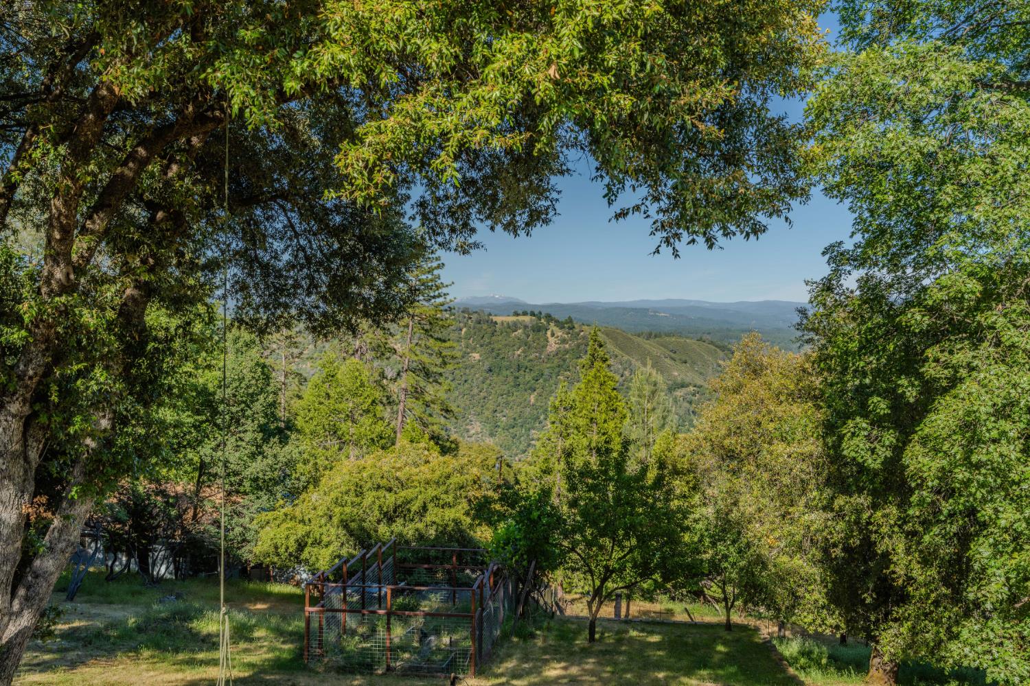 Quail Crt., Pine Grove, California image 35