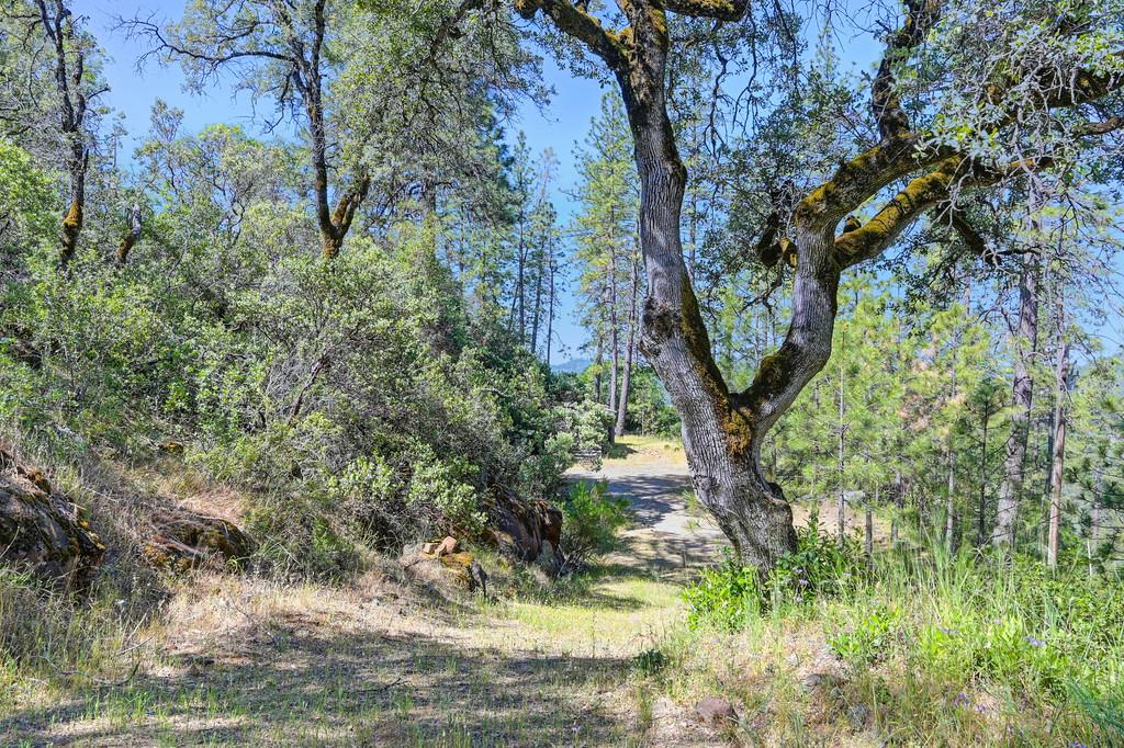 Grub Creek Drive, Rough and Ready, California image 12