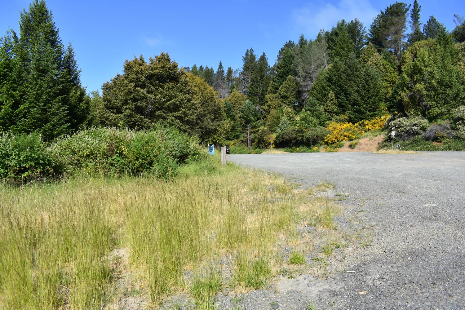SW Briceland Road, Whitethorn, California image 2