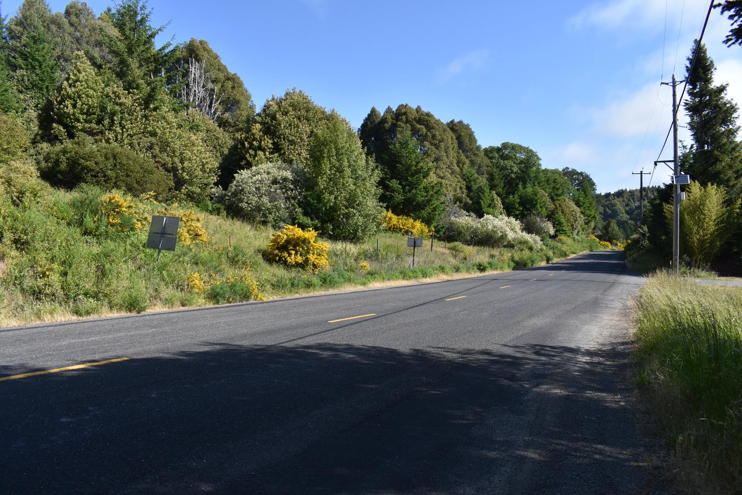 SW Briceland Road, Whitethorn, California image 21
