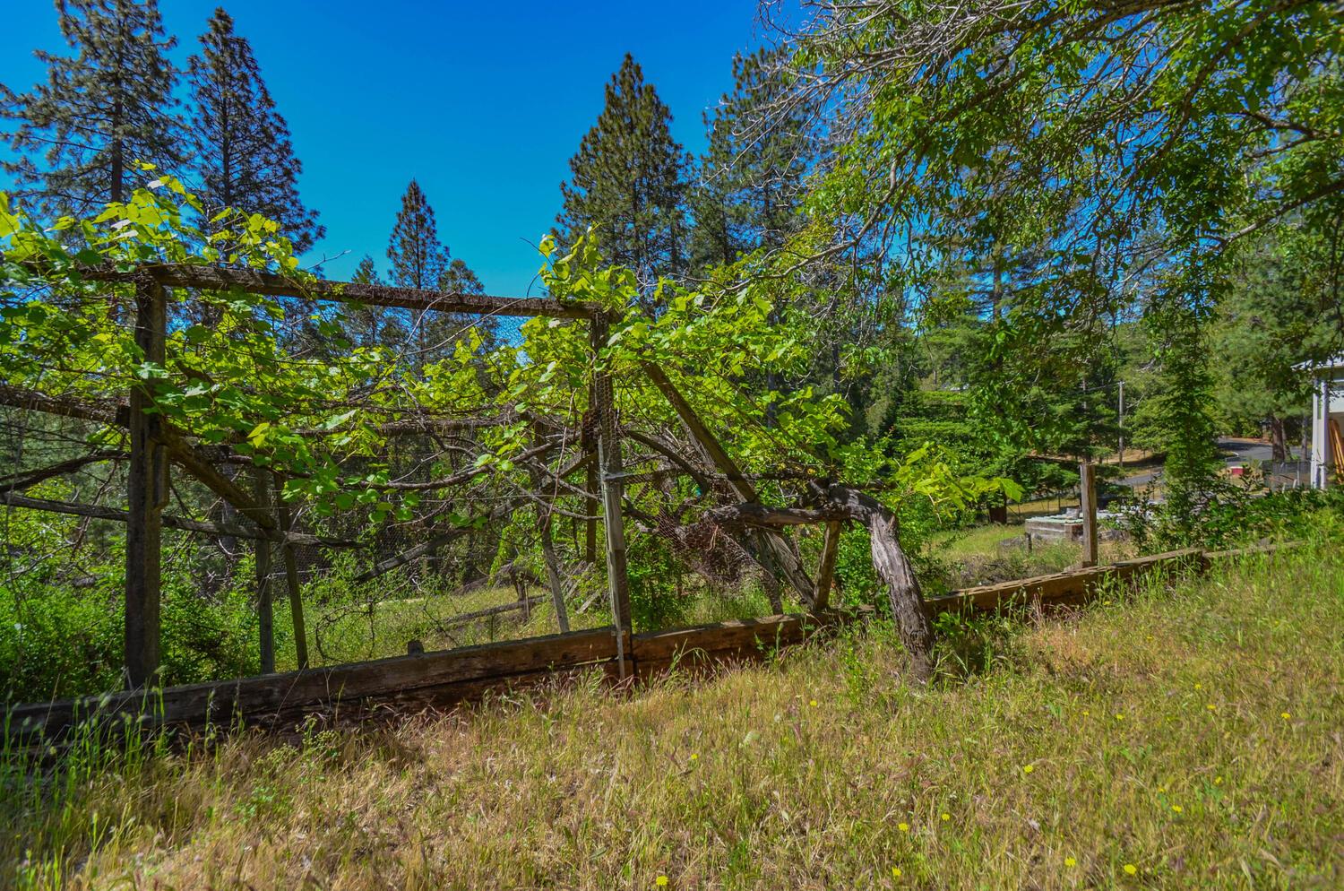 Rainbow Mine Road, Pine Grove, California image 40