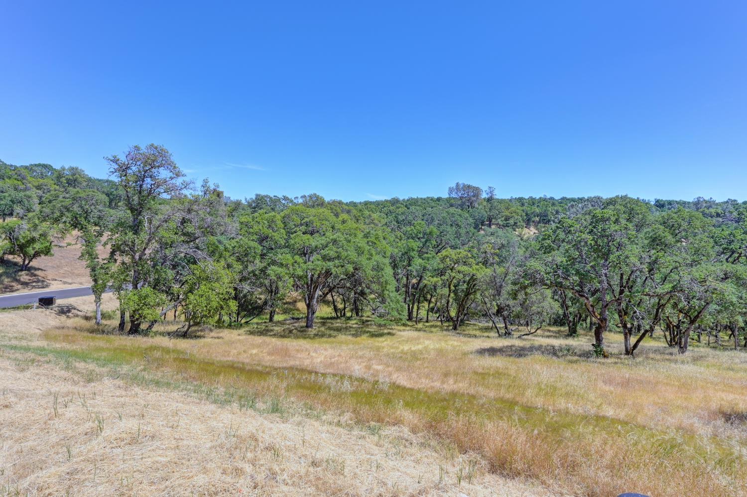 Western Sierra Way, El Dorado Hills, California image 13
