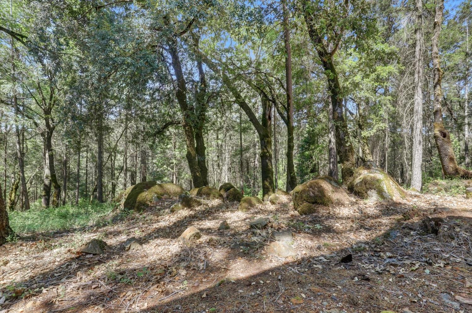 Forsythe Road, Dobbins, California image 45