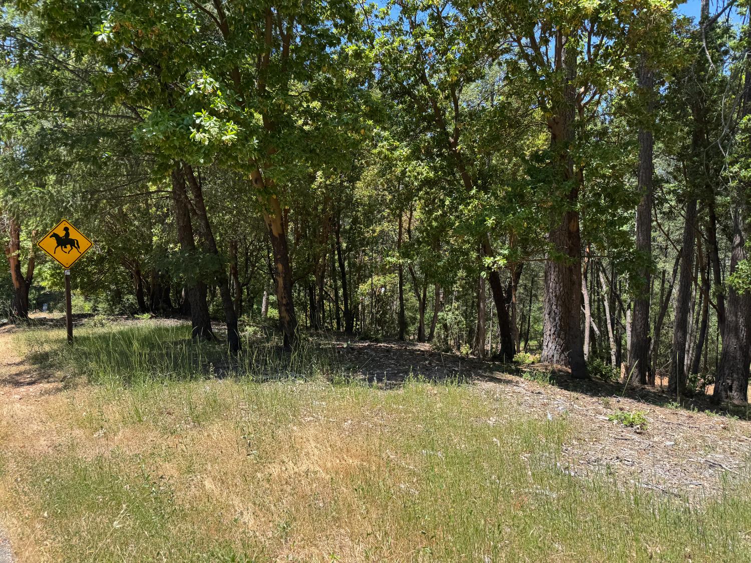 Todd Valley Road, Foresthill, California image 3