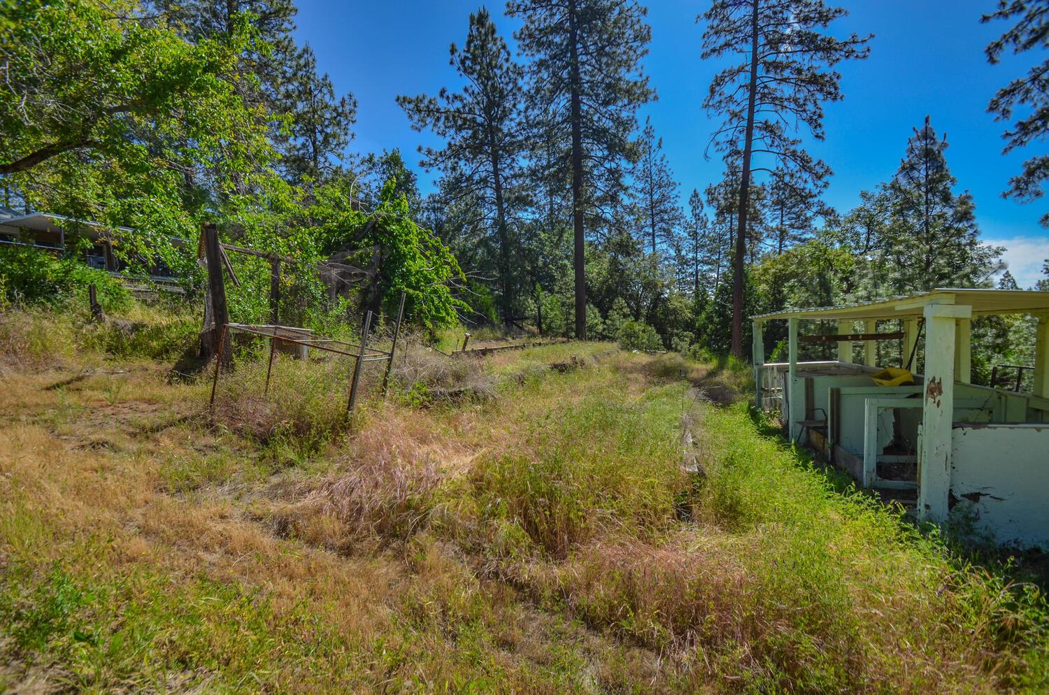 Rainbow Mine Road, Pine Grove, California image 50