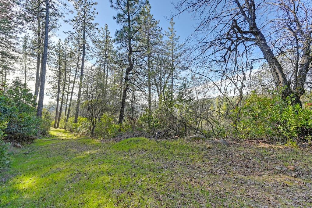 Grub Creek Drive, Rough and Ready, California image 45