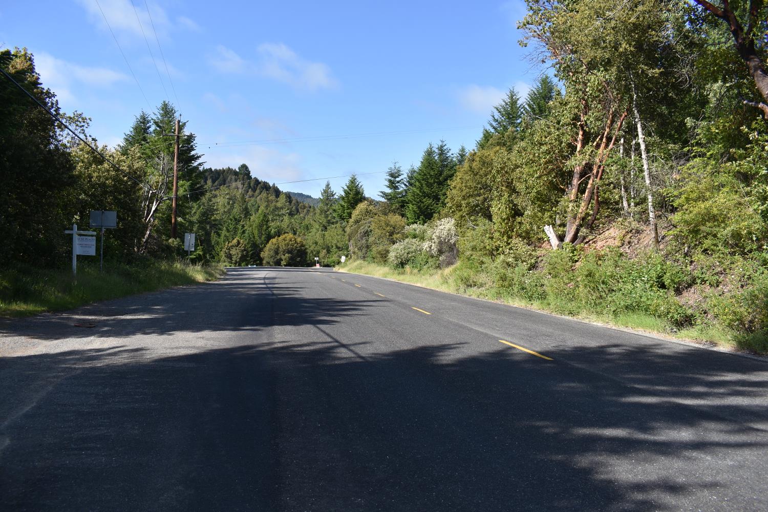 SW Briceland Road, Whitethorn, California image 20