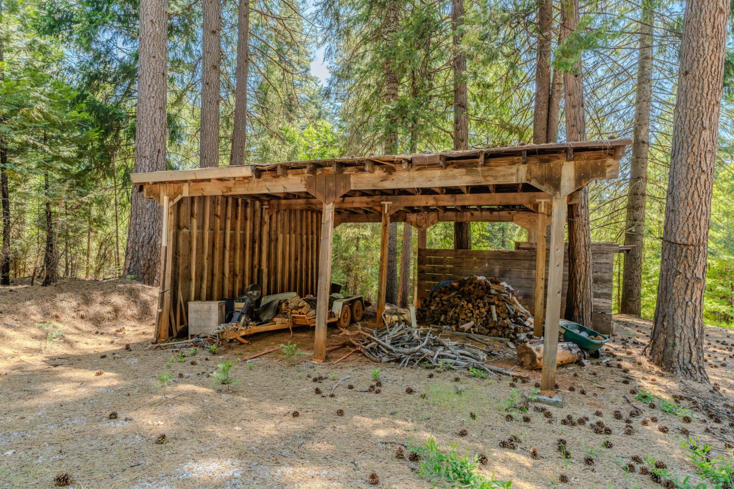Rabb Drive, Pioneer, California image 16