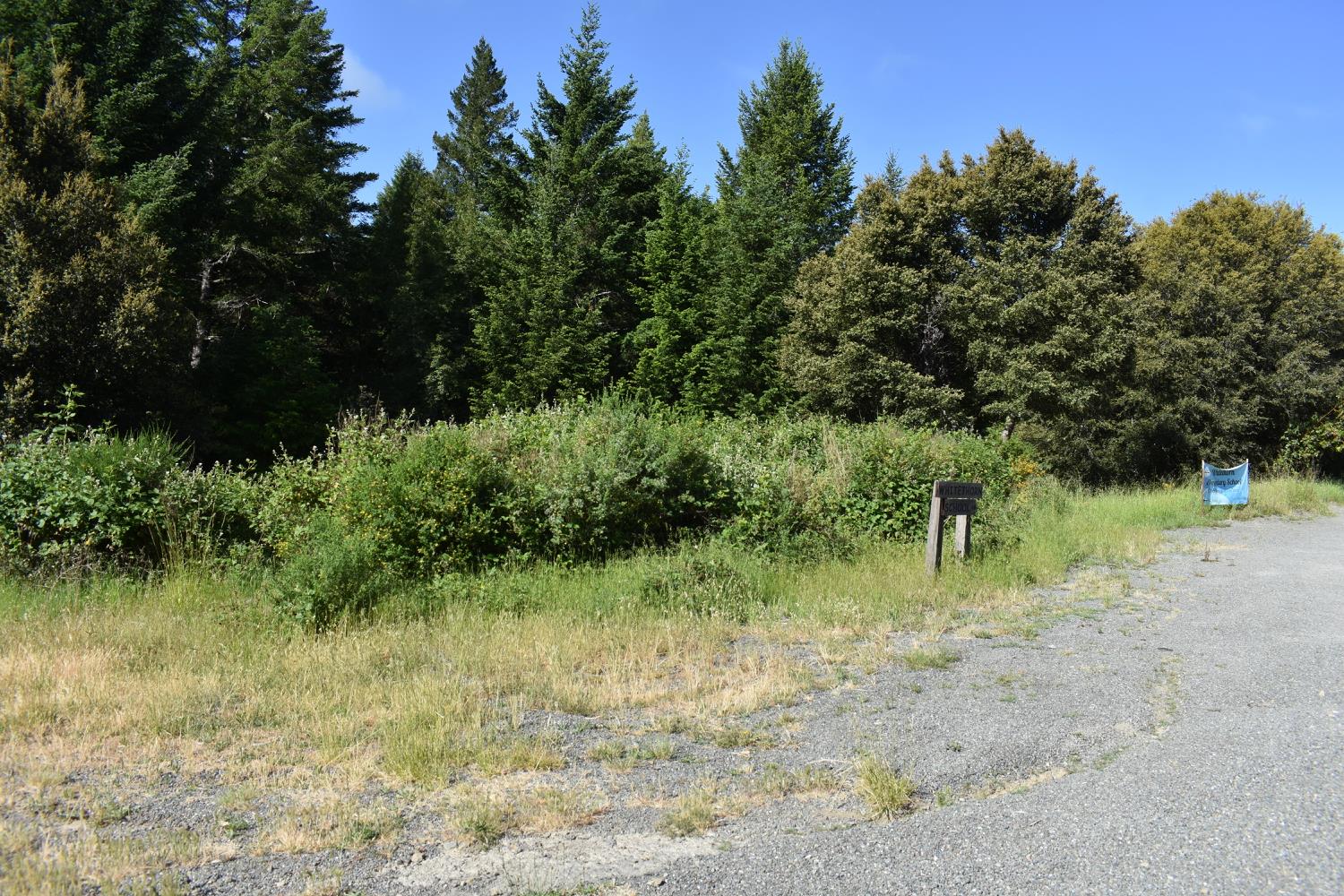 SW Briceland Road, Whitethorn, California image 8