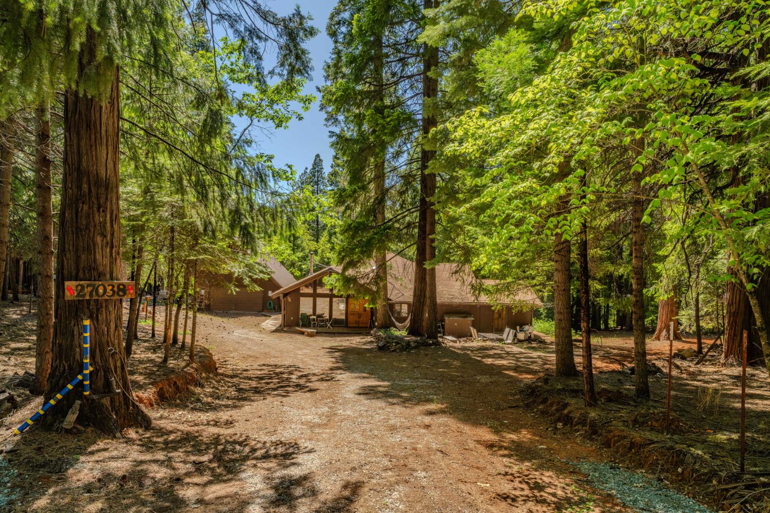Rabb Drive, Pioneer, California image 4