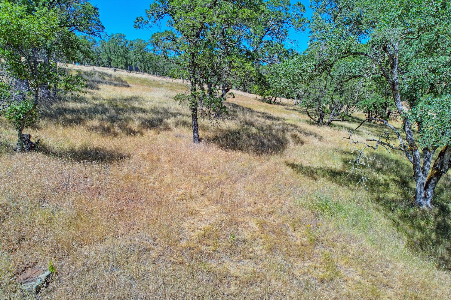 Western Sierra Way, El Dorado Hills, California image 10