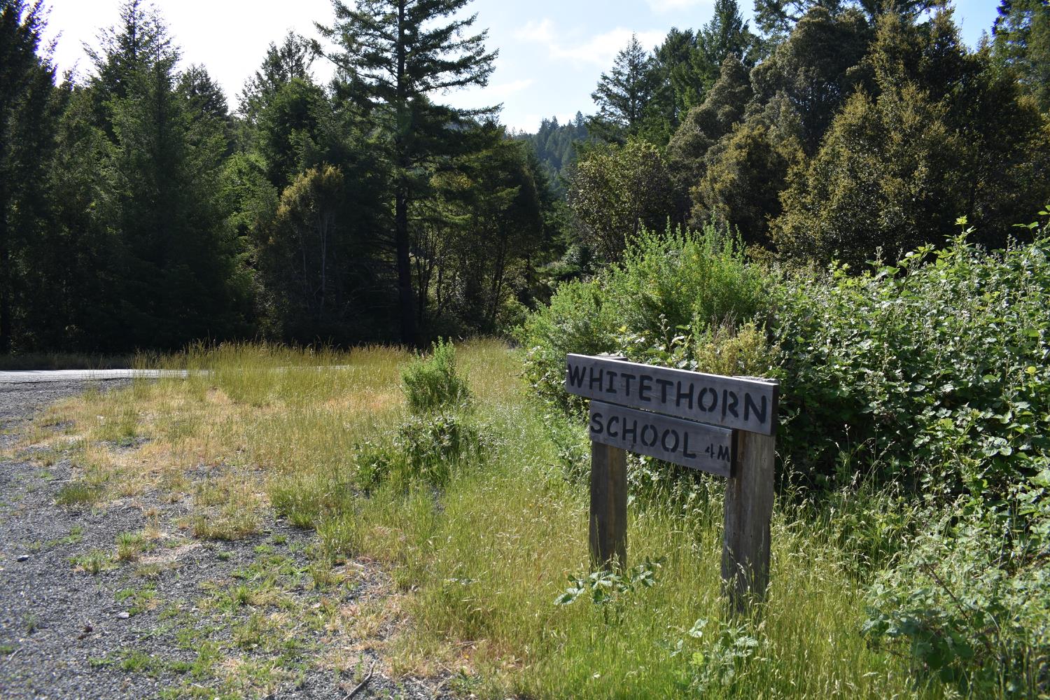 SW Briceland Road, Whitethorn, California image 10