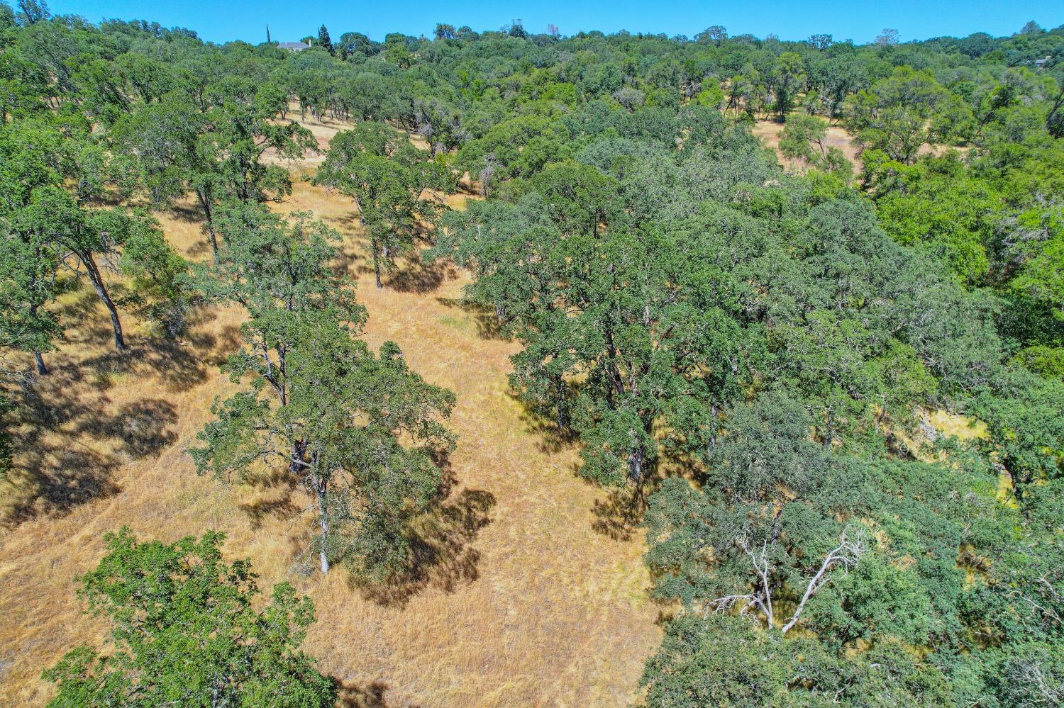Western Sierra Way, El Dorado Hills, California image 15