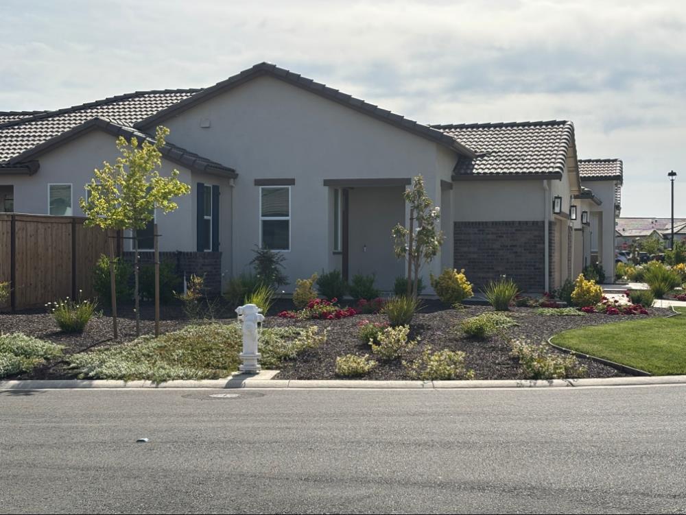 Evans Tree Drive, Roseville, California image 3