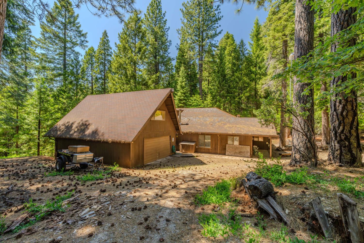 Rabb Drive, Pioneer, California image 5