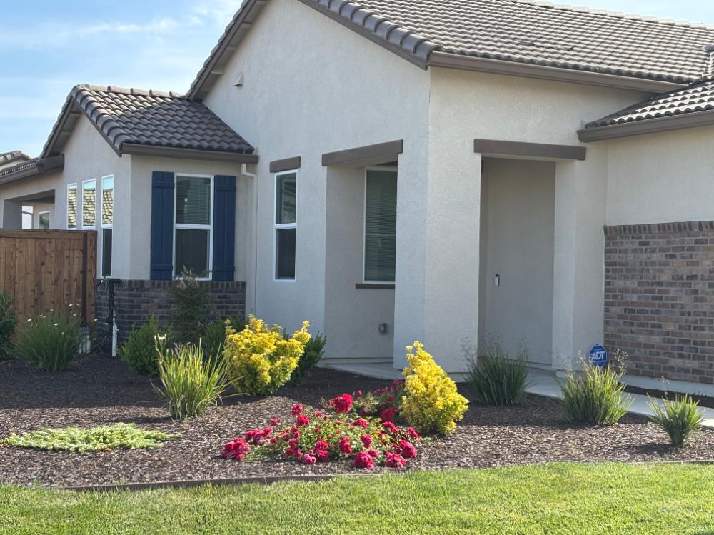 Evans Tree Drive, Roseville, California image 2