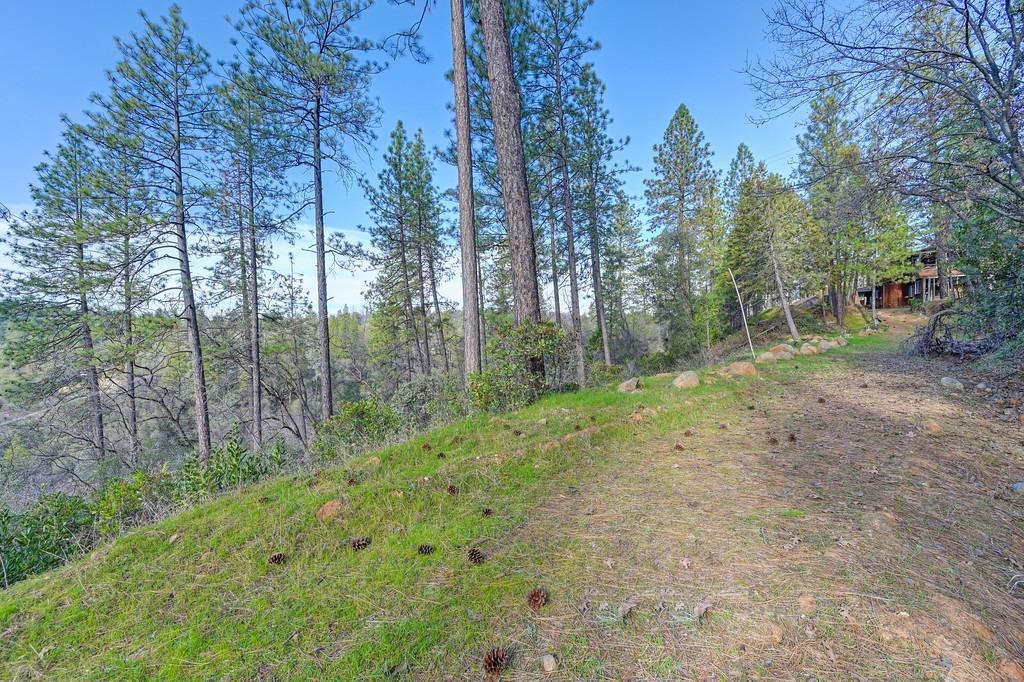 Grub Creek Drive, Rough and Ready, California image 42