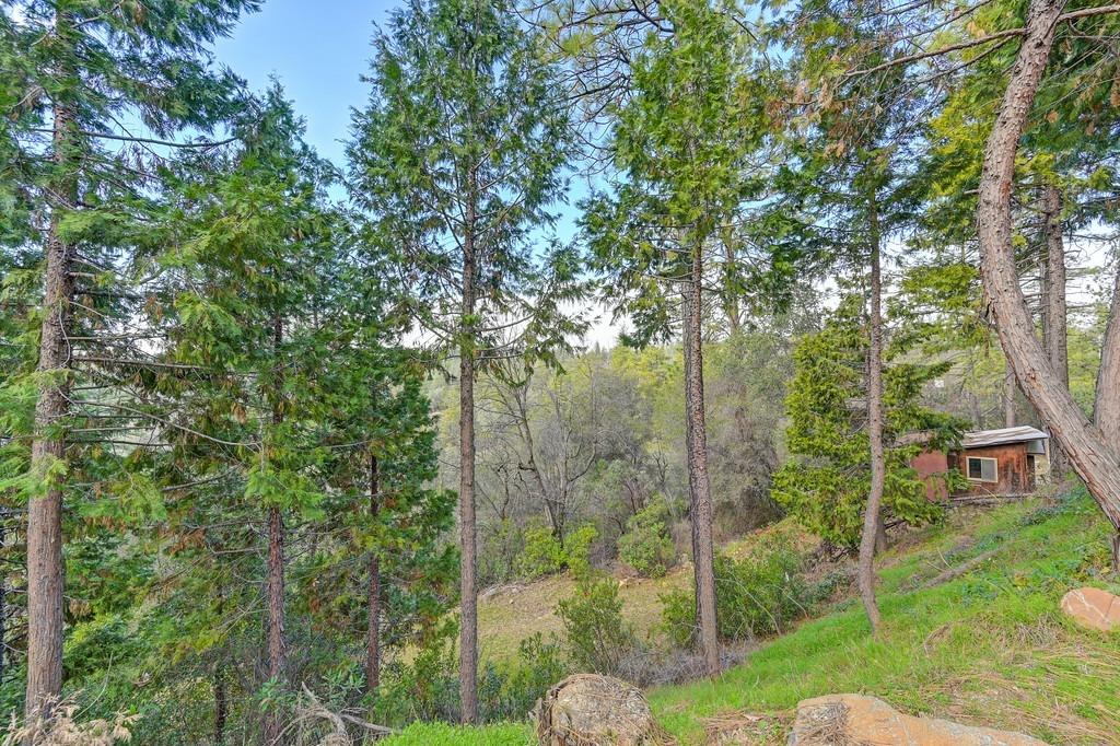 Grub Creek Drive, Rough and Ready, California image 39