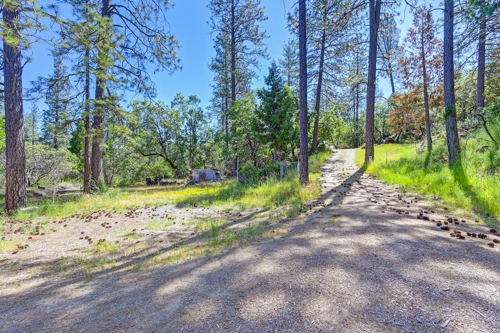 Grub Creek Drive, Rough and Ready, California image 10