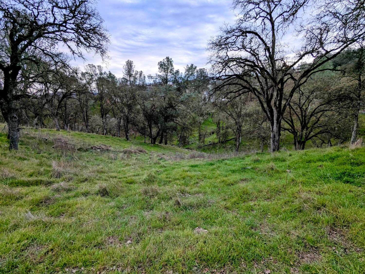Bonnett, Copperopolis, California image 1