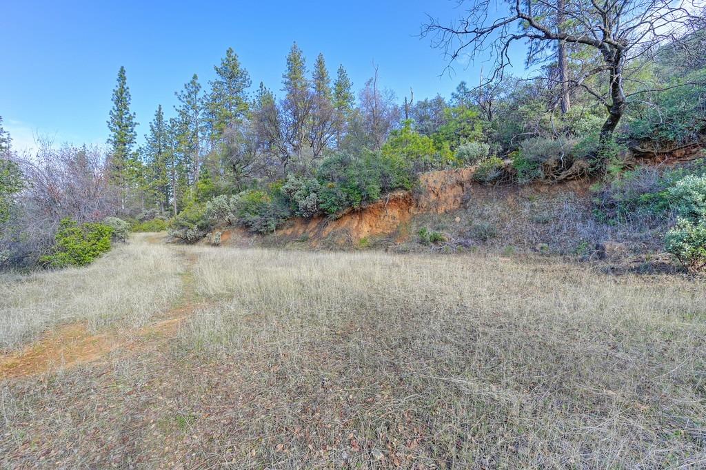 Grub Creek Drive, Rough and Ready, California image 47