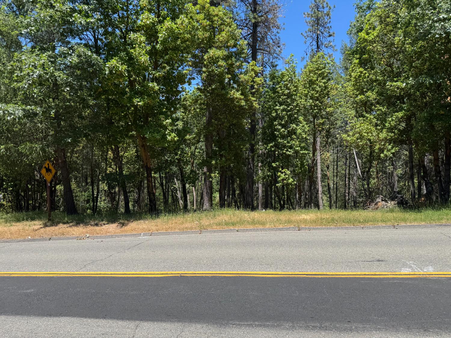 Todd Valley Road, Foresthill, California image 1