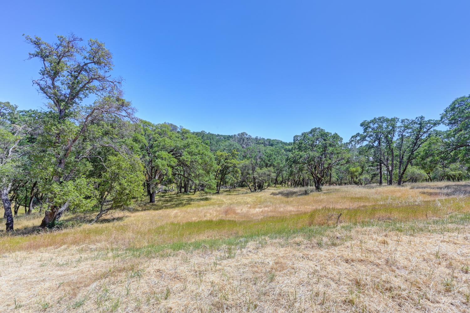 Western Sierra Way, El Dorado Hills, California image 12