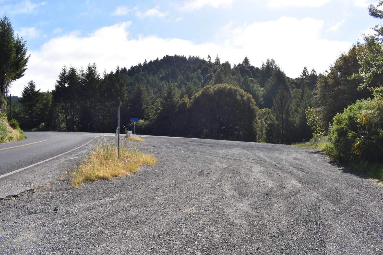 SW Briceland Road, Whitethorn, California image 5