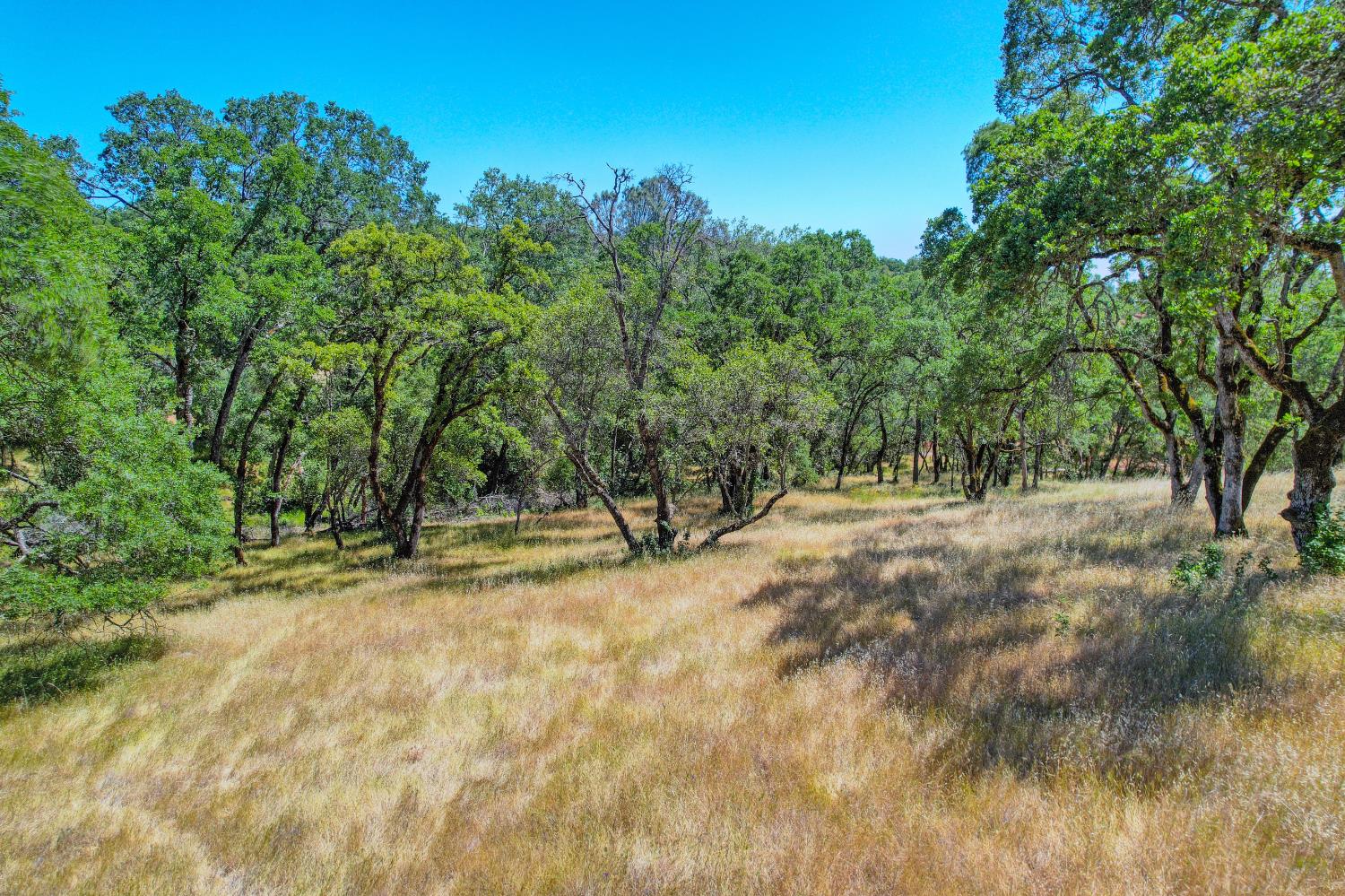 Western Sierra Way, El Dorado Hills, California image 1
