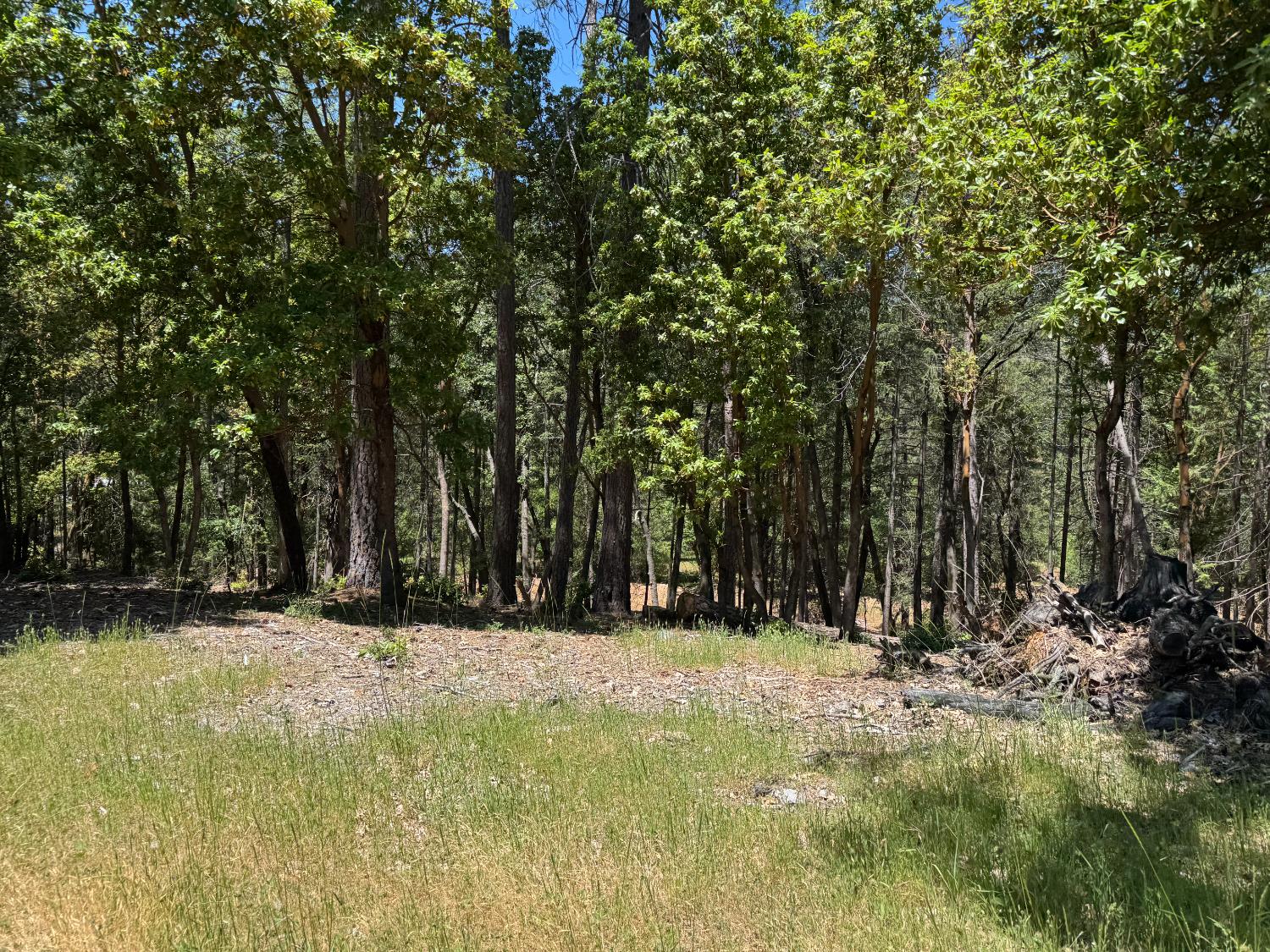 Todd Valley Road, Foresthill, California image 2