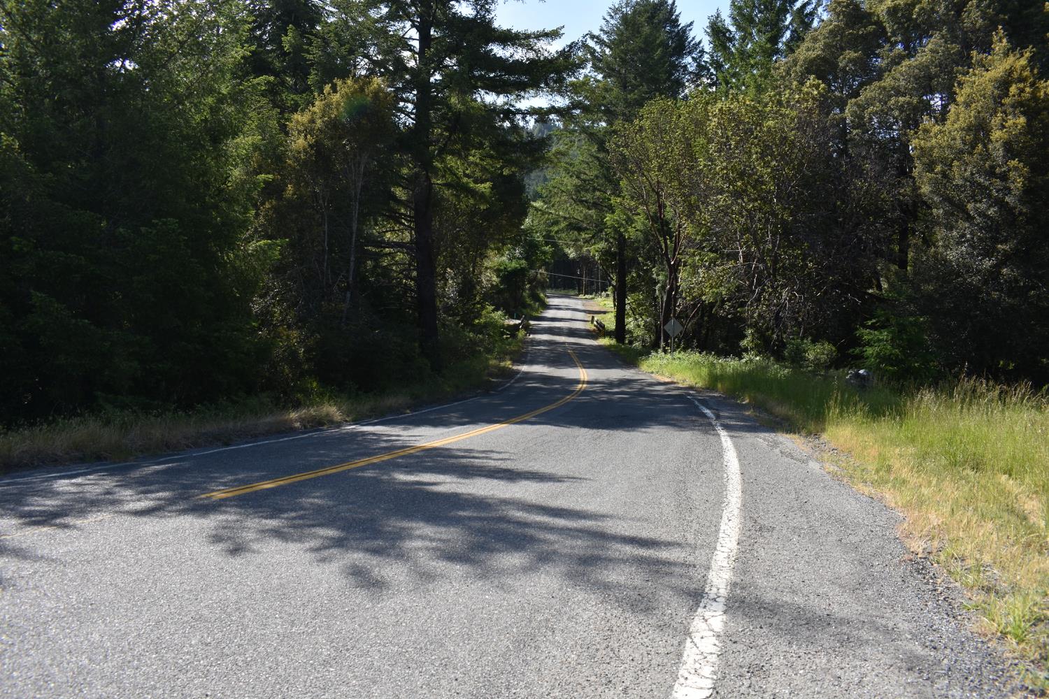SW Briceland Road, Whitethorn, California image 22