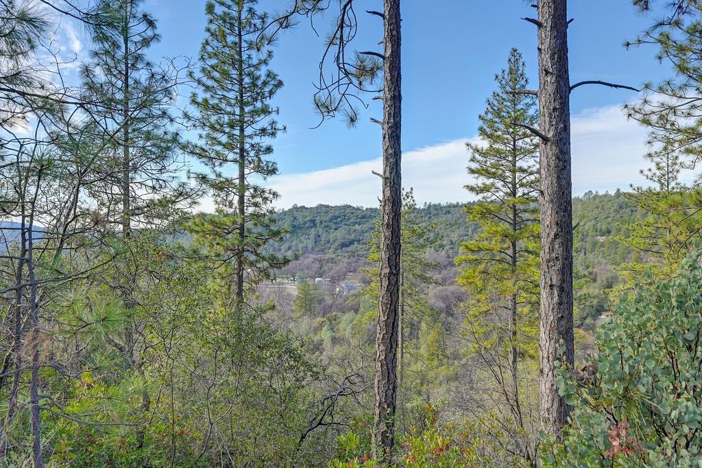 Grub Creek Drive, Rough and Ready, California image 44