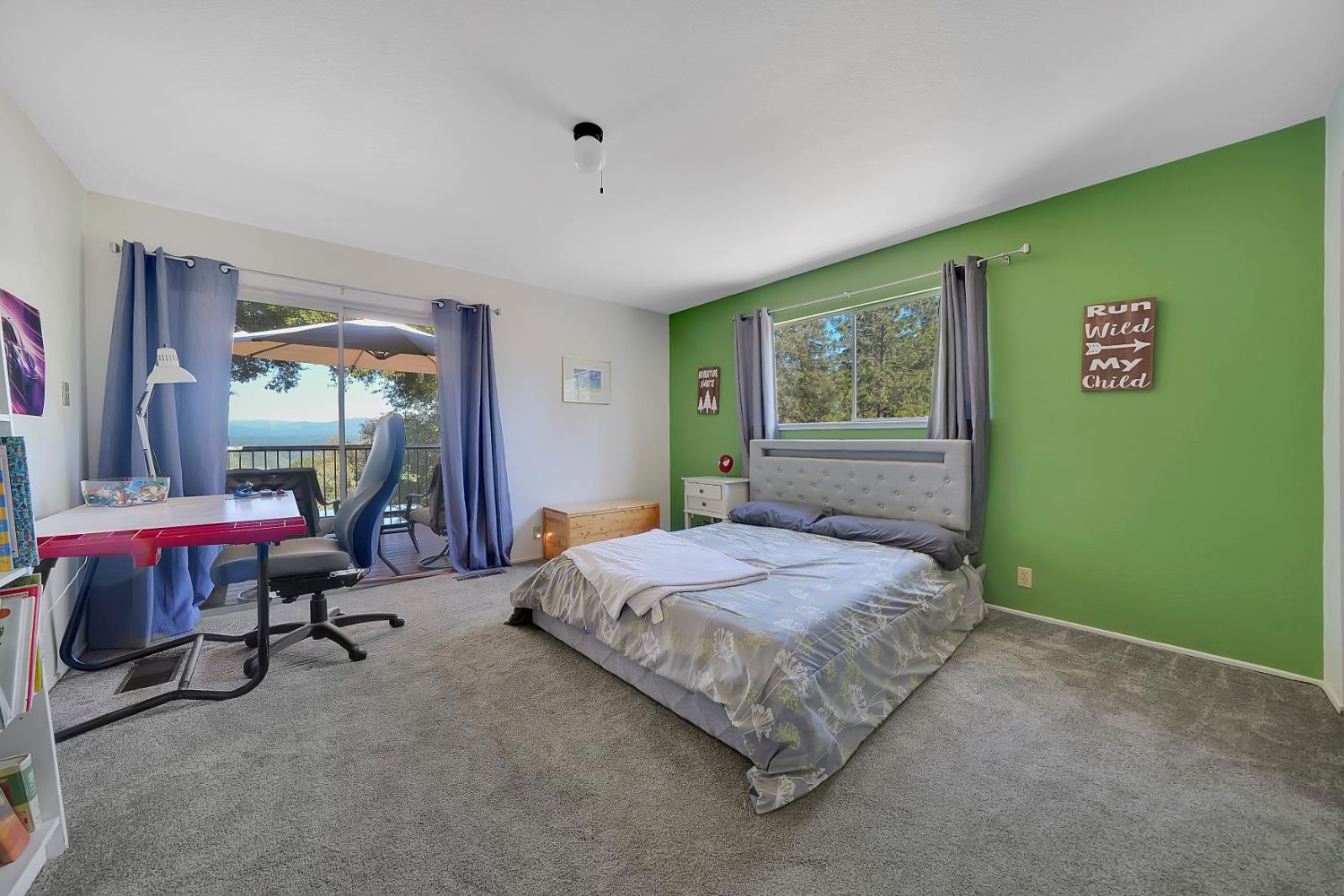Quail Crt., Pine Grove, California image 19