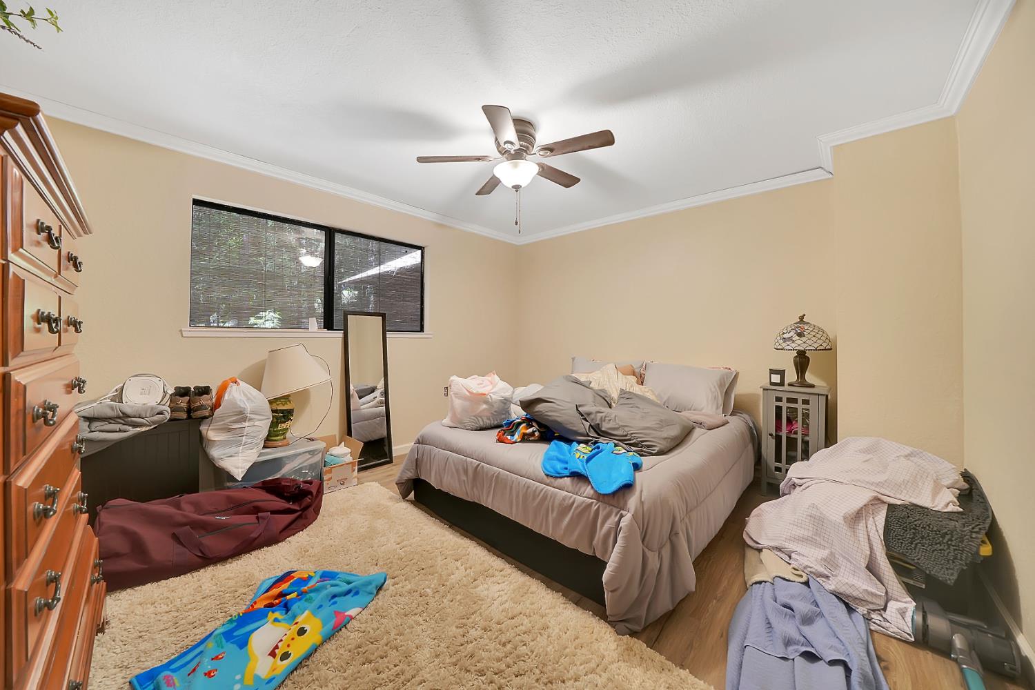 Rabb Drive, Pioneer, California image 44