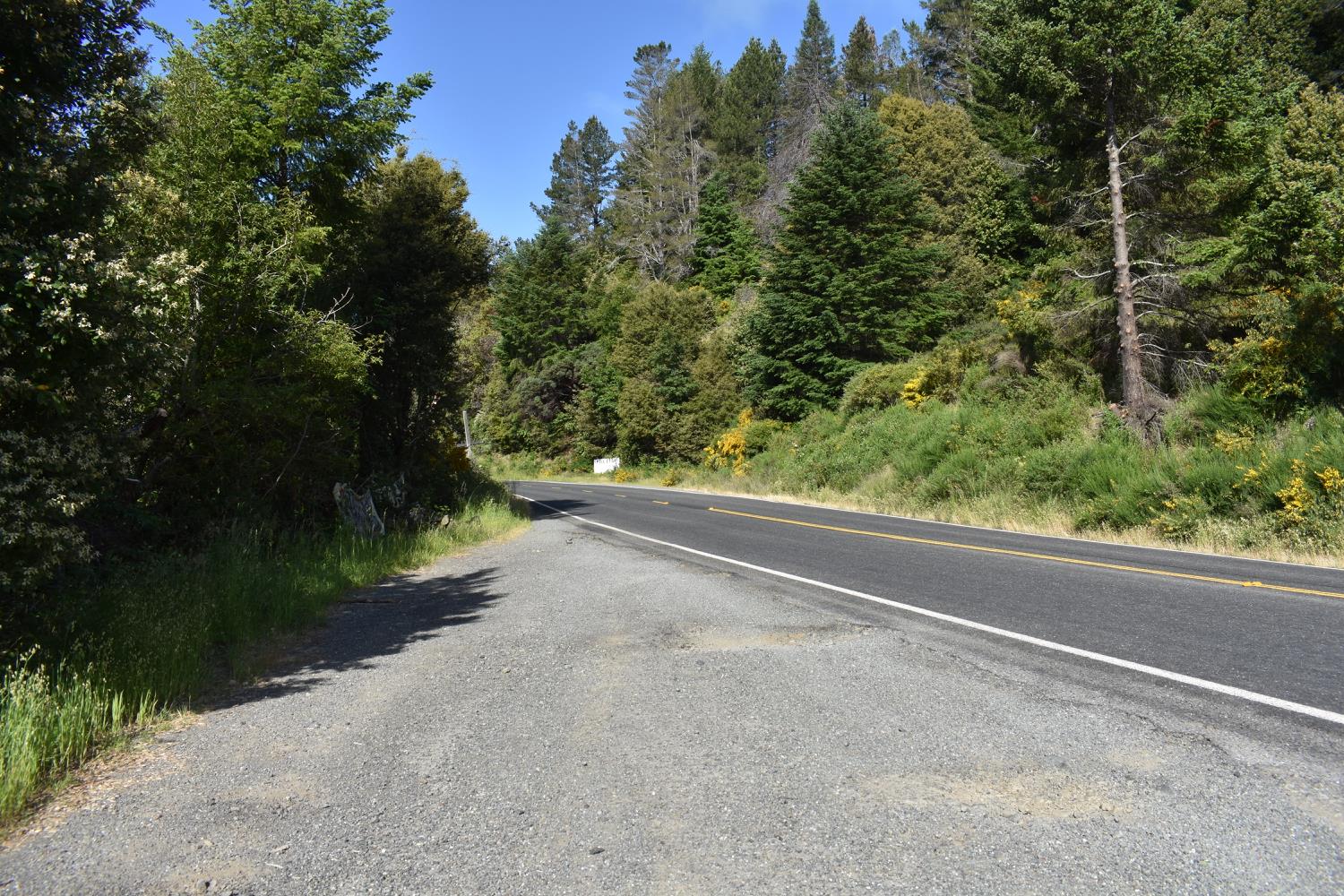 SW Briceland Road, Whitethorn, California image 19