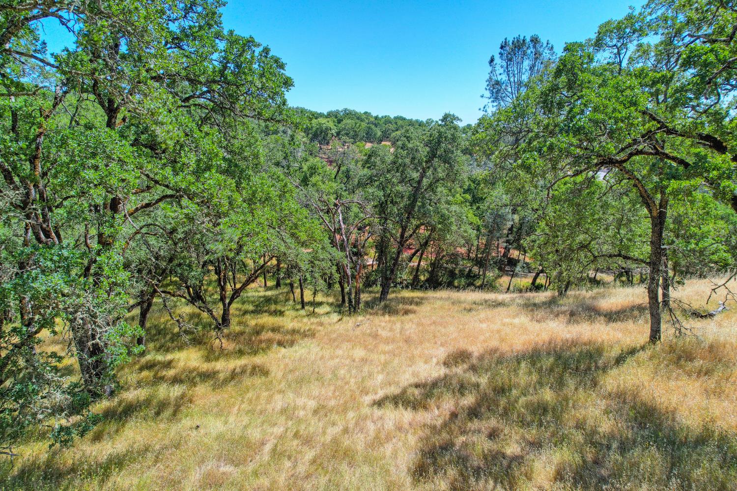 Western Sierra Way, El Dorado Hills, California image 4