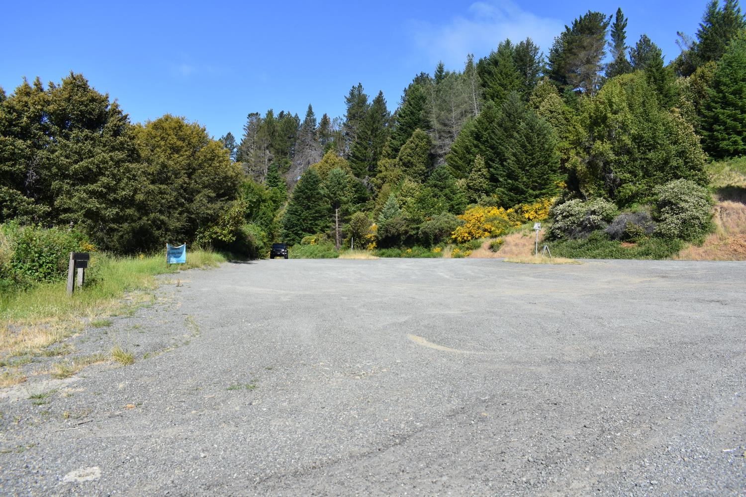 SW Briceland Road, Whitethorn, California image 14